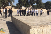  إلغاء قرار قضائي يسمح بأداء صلوات يهودية في المسجد الأقصى